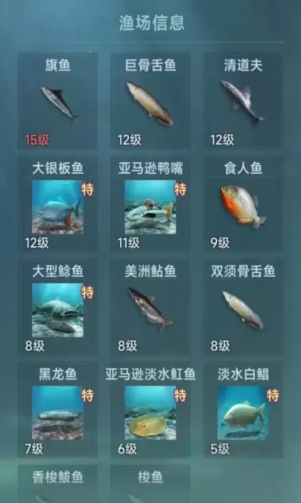 大航海时代传说灵犀版_https://www.175yx.com_模拟经营_第10张