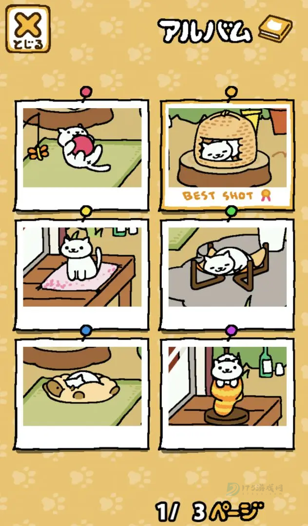 猫咪后院2汉化版