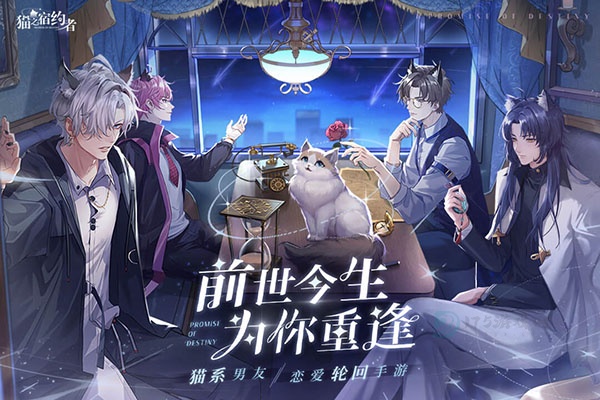 猫之宿约者华为版