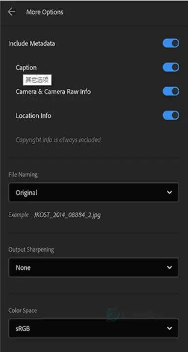 Lightroom解锁版_https://www.175yx.com_摄影美化_第3张