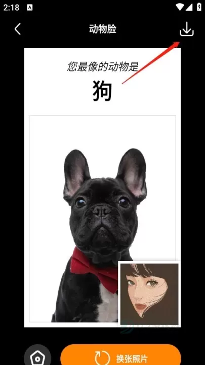桔子相机_https://www.175yx.com_摄影美化_第4张