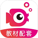 鲤鱼辅导app