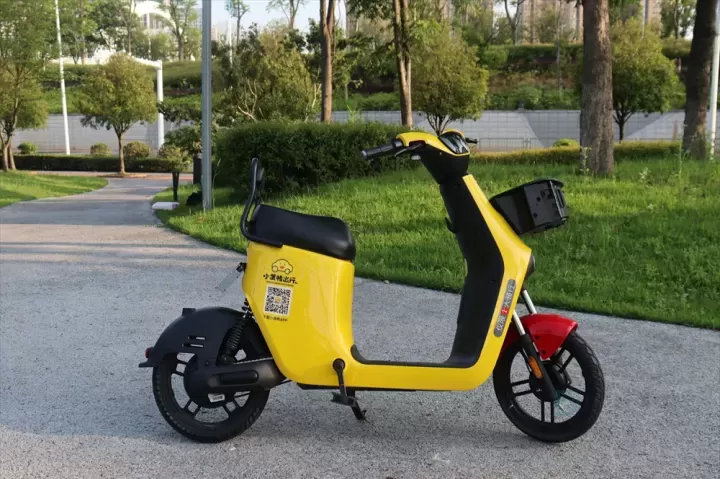 小黄鸭共享_https://www.175yx.com_生活学习_第1张