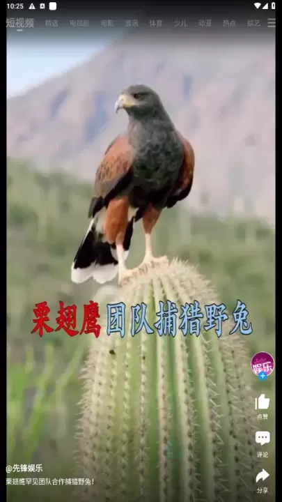 pp视频正版最新版_https://www.175yx.com_影音播放_第4张