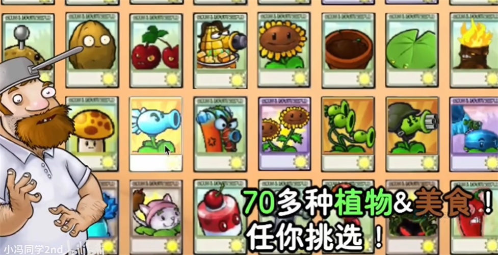 植物大战僵尸时空之乱