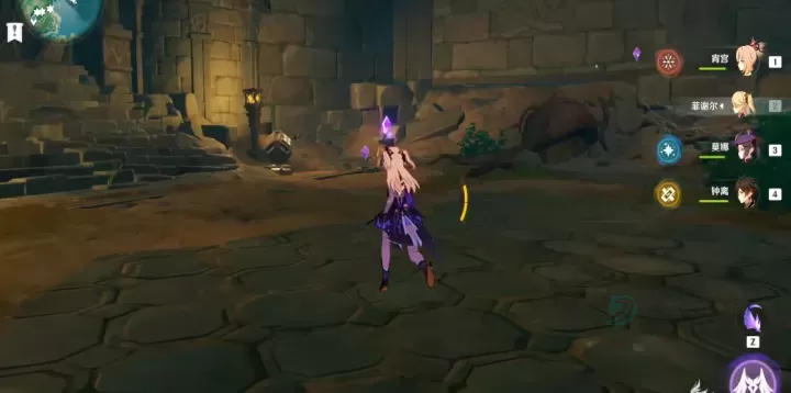 《原神》里稻妻区域独特羽毛获取途径揭秘_https://www.175yx.com_游戏资讯_第2张