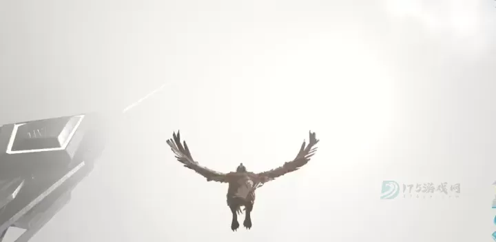 方舟生存进化狮鹫怎么俯冲_https://www.175yx.com_游戏攻略_第2张