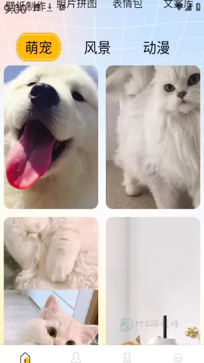 遇榶壁纸_摄影美化_第1张_175游戏网 遇榶壁纸_https://www.175yx.com_摄影美化_第1张