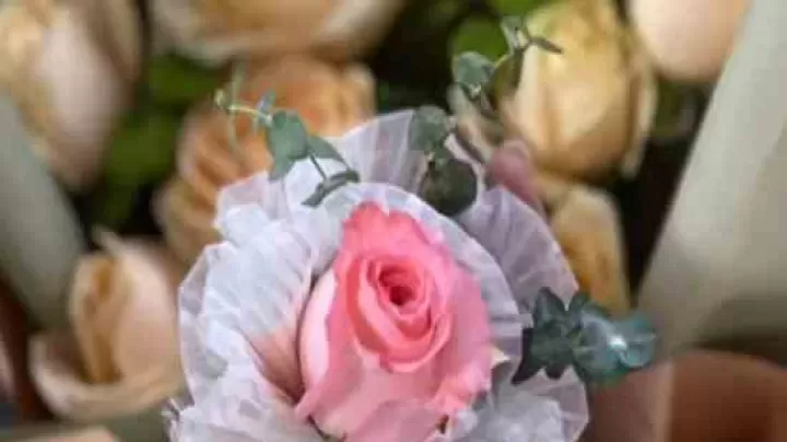 守望先锋游戏好听的网络名字大全_https://www.175yx.com_网名素材_第2张