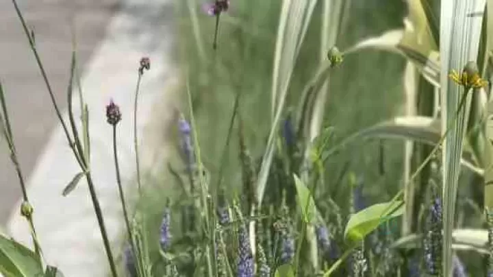 委婉含蓄害羞的游戏网名女生可爱(精选100个)_https://www.175yx.com_网名素材_第6张