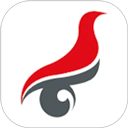 中国高等教育学生信息网app