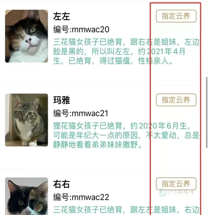 握爪_https://www.175yx.com_生活学习_第2张